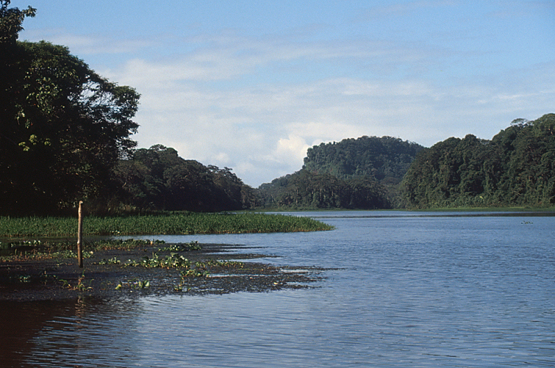 11_Tortuguero, binnenwater bij Lodge.jpg